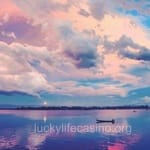 Avatar de Mauricio Arenas